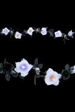 Guirlande de fleurs et crâne 6 roses blanches lumineuses