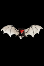 Chauve souris 89 cm avec yeux lumineux